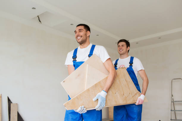 Best Basement Cleanout  in Lavonia, GA